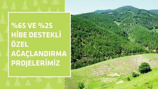 özel